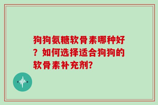 狗狗氨糖软骨素哪种好?如何选择适合狗狗的软骨素补充剂? 狗狗氨糖软骨素哪种好?如何选择适合狗狗的软骨素补充剂?