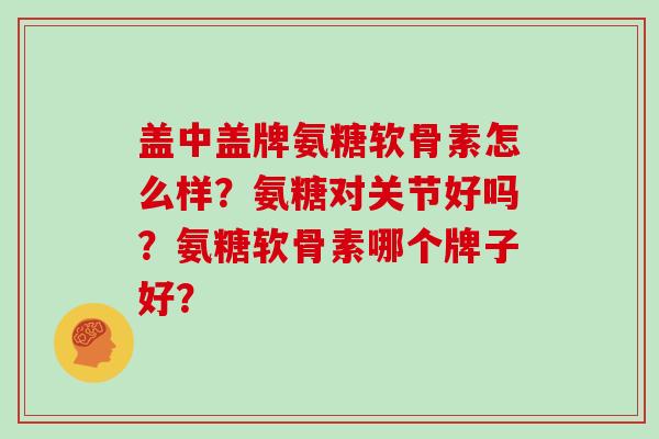 盖中盖牌氨糖软骨素怎么样?氨糖对关节好吗?氨糖软骨素哪个牌子好? 盖中盖牌氨糖软骨素怎么样?氨糖对关节好吗?氨糖软骨素哪个牌子好?
