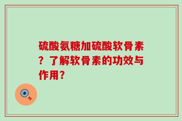 硫酸氨糖加硫酸软骨素？了解软骨素的功效与作用？