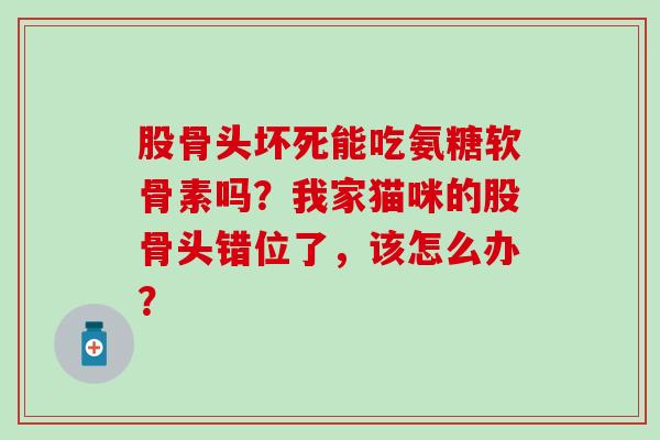 股骨头坏死能吃氨糖软骨素吗？我家猫咪的股骨头错位了，该怎么办？