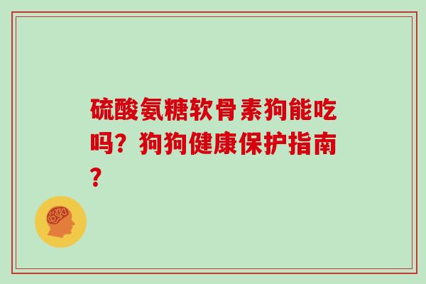 硫酸氨糖软骨素狗能吃吗?狗狗健康保护指南? 硫酸氨糖软骨素狗能吃吗?狗狗健康保护指南?