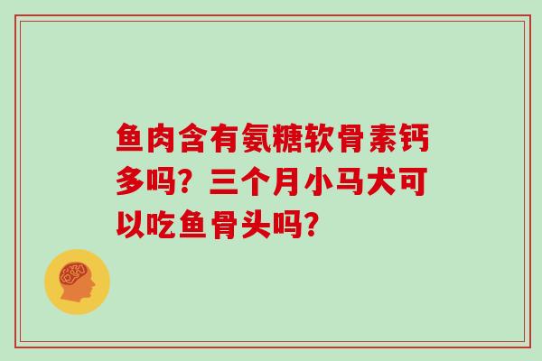 鱼肉含有氨糖软骨素钙多吗？三个月小马犬可以吃鱼骨头吗？