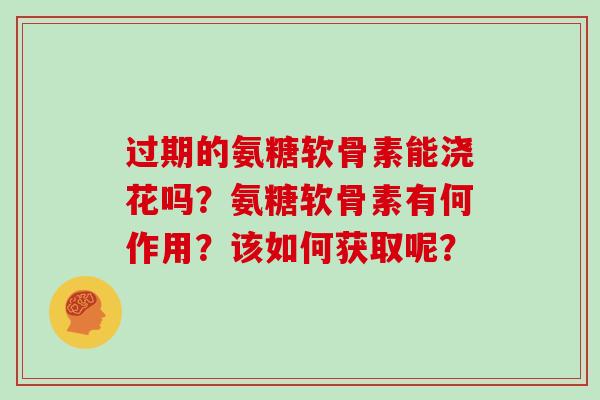 过期的氨糖软骨素能浇花吗?氨糖软骨素有何作用?该如何获取呢? 过期的氨糖软骨素能浇花吗?氨糖软骨素有何作用?该如何获取呢?