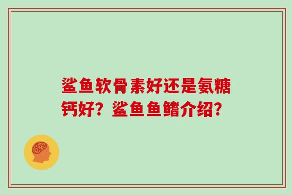 鲨鱼软骨素好还是氨糖钙好?鲨鱼鱼鳍介绍? 鲨鱼软骨素好还是氨糖钙好?鲨鱼鱼鳍介绍?