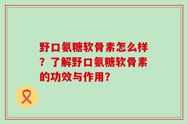 野口氨糖软骨素怎么样?了解野口氨糖软骨素的功效与作用? 野口氨糖软骨素怎么样?了解野口氨糖软骨素的功效与作用?