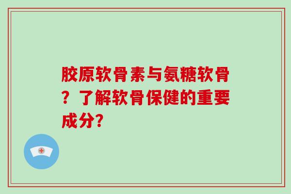 胶原软骨素与氨糖软骨？了解软骨保健的重要成分？