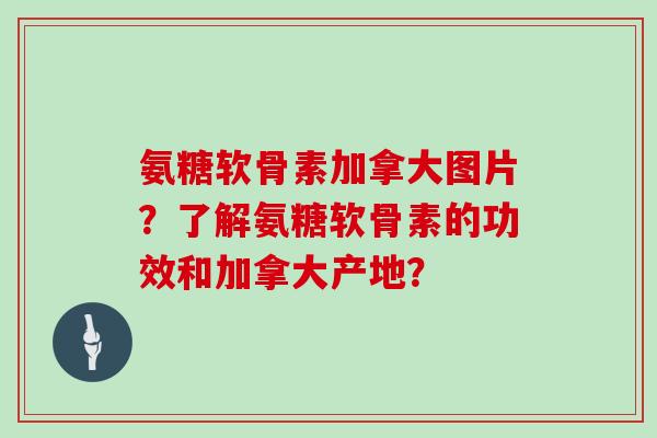 氨糖软骨素加拿大图片？了解氨糖软骨素的功效和加拿大产地？