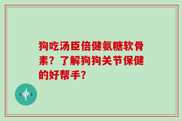 狗吃汤臣倍健氨糖软骨素？了解狗狗关节保健的好帮手？
