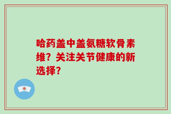 哈药盖中盖氨糖软骨素维？关注关节健康的新选择？