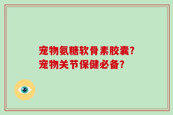 宠物氨糖软骨素胶囊？宠物关节保健必备？