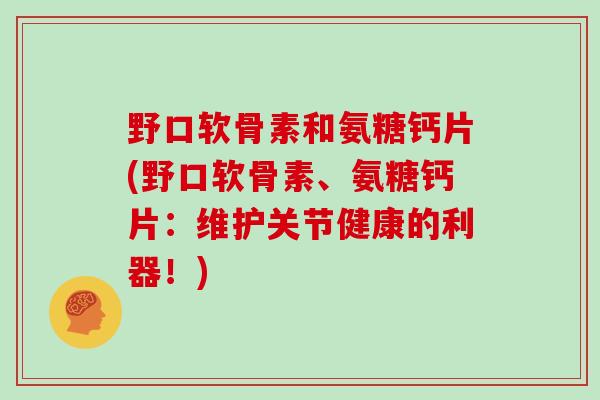 野口软骨素和氨糖钙片(野口软骨素、氨糖钙片：维护关节健康的利器！)