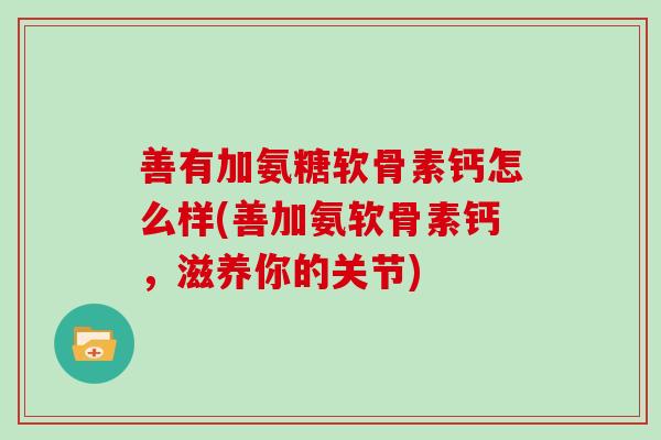 善有加氨糖软骨素钙怎么样(善加氨软骨素钙，滋养你的关节)