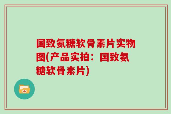 国致氨糖软骨素片实物图(产品实拍:国致氨糖软骨素片) 国致氨糖软骨素片实物图(产品实拍:国致氨糖软骨素片)
