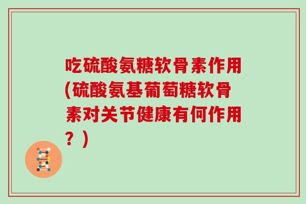 吃硫酸氨糖软骨素作用(硫酸氨基葡萄糖软骨素对关节健康有何作用?) 吃硫酸氨糖软骨素作用(硫酸氨基葡萄糖软骨素对关节健康有何作用?)