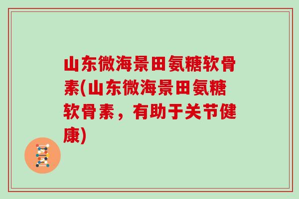 山东微海景田氨糖软骨素(山东微海景田氨糖软骨素，有助于关节健康)