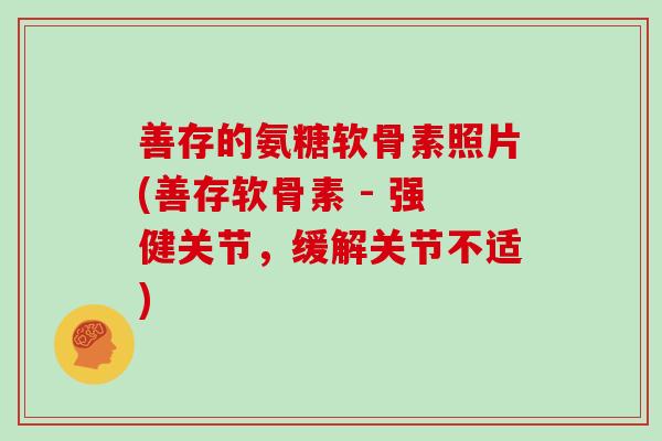善存的氨糖软骨素照片(善存软骨素 - 强健关节,缓解关节不适) 善存的氨糖软骨素照片(善存软骨素 - 强健关节,缓解关节不适)