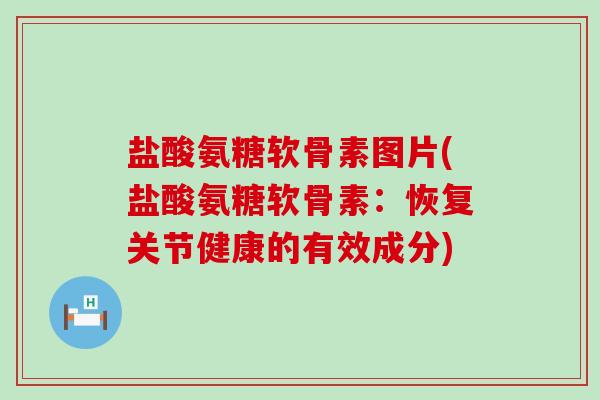 盐酸氨糖软骨素图片(盐酸氨糖软骨素:恢复关节健康的有效成分) 盐酸氨糖软骨素图片(盐酸氨糖软骨素:恢复关节健康的有效成分)