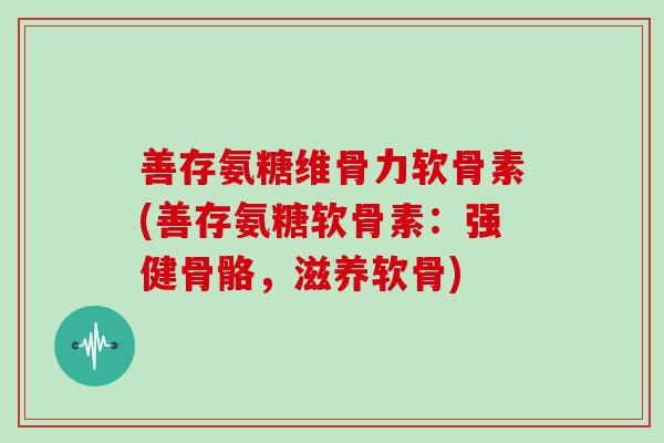 善存氨糖维骨力软骨素(善存氨糖软骨素：强健骨骼，滋养软骨)