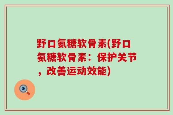 野口氨糖软骨素(野口氨糖软骨素：保护关节，改善运动效能)
