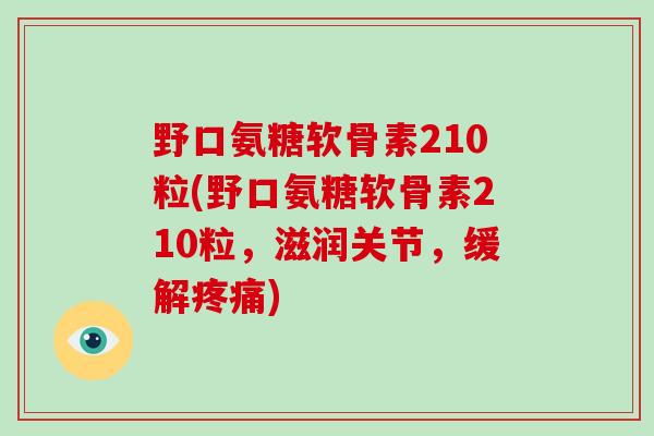 野口氨糖软骨素210粒(野口氨糖软骨素210粒，滋润关节，缓解)