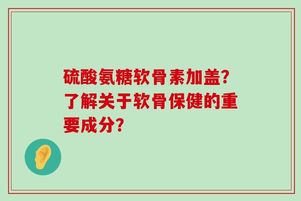 硫酸氨糖软骨素加盖?了解关于软骨保健的重要成分? 硫酸氨糖软骨素加盖?了解关于软骨保健的重要成分?