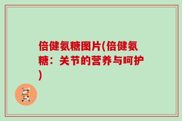 倍健氨糖图片(倍健氨糖:关节的营养与呵护) 倍健氨糖图片(倍健氨糖:关节的营养与呵护)
