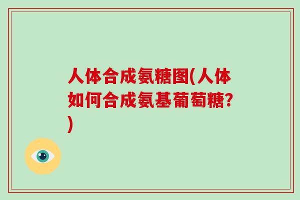 人体合成氨糖图(人体如何合成氨基葡萄糖?) 人体合成氨糖图(人体如何合成氨基葡萄糖?)