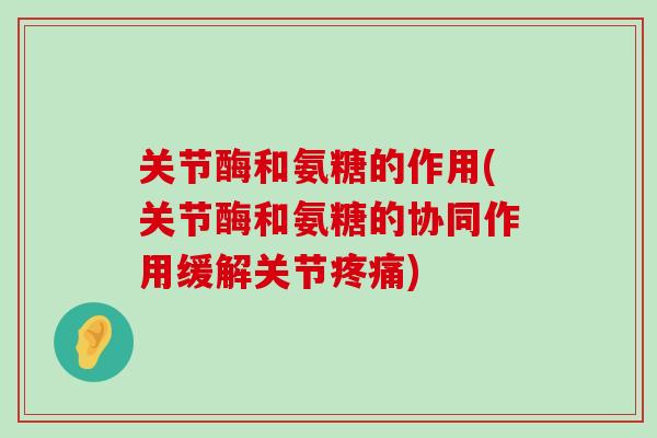关节酶和氨糖的作用(关节酶和氨糖的协同作用缓解关节)