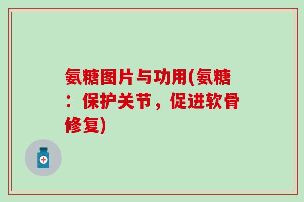 氨糖图片与功用(氨糖：保护关节，促进软骨修复)