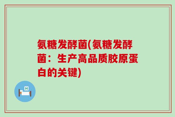 氨糖发酵菌(氨糖发酵菌:生产高品质胶原蛋白的关键) 氨糖发酵菌(氨糖发酵菌:生产高品质胶原蛋白的关键)