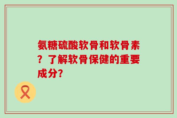 氨糖硫酸软骨和软骨素？了解软骨保健的重要成分？