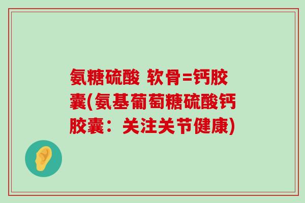 氨糖硫酸 软骨=钙胶囊(氨基葡萄糖硫酸钙胶囊：关注关节健康)
