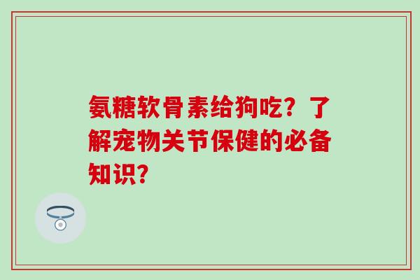 氨糖软骨素给狗吃？了解宠物关节保健的必备知识？