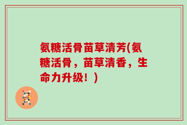 氨糖活骨苗草清芳(氨糖活骨,苗草清香,生命力升级!) 氨糖活骨苗草清芳(氨糖活骨,苗草清香,生命力升级!)