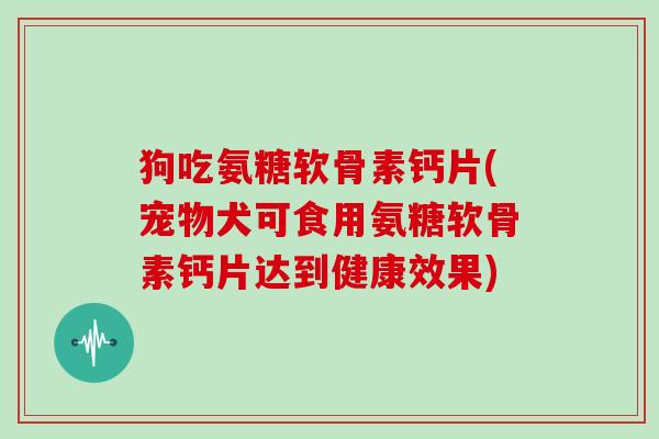 狗吃氨糖软骨素钙片(宠物犬可食用氨糖软骨素钙片达到健康效果) 狗吃氨糖软骨素钙片(宠物犬可食用氨糖软骨素钙片达到健康效果)