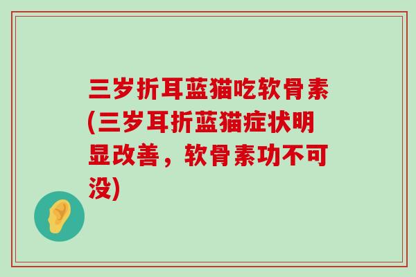 三岁折耳蓝猫吃软骨素(三岁耳折蓝猫症状明显改善,软骨素功不可没) 三岁折耳蓝猫吃软骨素(三岁耳折蓝猫症状明显改善,软骨素功不可没)