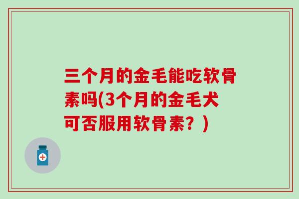 三个月的金毛能吃软骨素吗(3个月的金毛犬可否服用软骨素？)