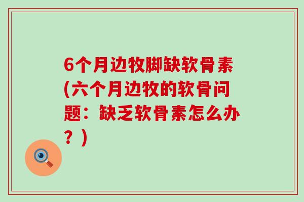 6个月边牧脚缺软骨素(六个月边牧的软骨问题:缺乏软骨素怎么办?) 6个月边牧脚缺软骨素(六个月边牧的软骨问题:缺乏软骨素怎么办?)