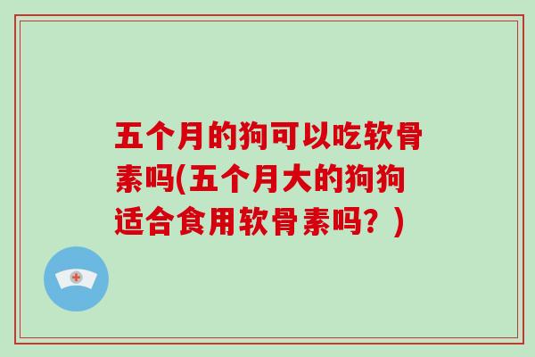 五个月的狗可以吃软骨素吗(五个月大的狗狗适合食用软骨素吗?) 五个月的狗可以吃软骨素吗(五个月大的狗狗适合食用软骨素吗?)