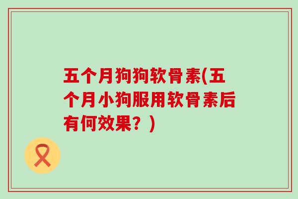 五个月狗狗软骨素(五个月小狗服用软骨素后有何效果？)