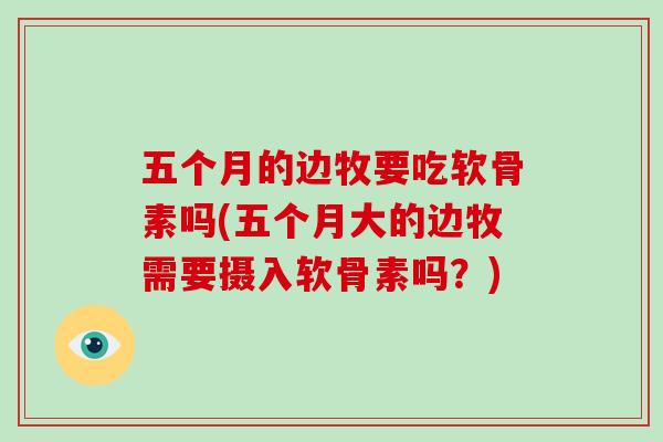 五个月的边牧要吃软骨素吗(五个月大的边牧需要摄入软骨素吗?) 五个月的边牧要吃软骨素吗(五个月大的边牧需要摄入软骨素吗?)