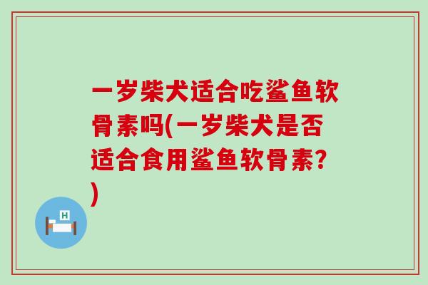 一岁柴犬适合吃鲨鱼软骨素吗(一岁柴犬是否适合食用鲨鱼软骨素?) 一岁柴犬适合吃鲨鱼软骨素吗(一岁柴犬是否适合食用鲨鱼软骨素?)