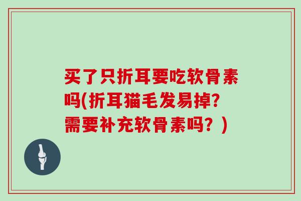 买了只折耳要吃软骨素吗(折耳猫毛发易掉?需要补充软骨素吗?) 买了只折耳要吃软骨素吗(折耳猫毛发易掉?需要补充软骨素吗?)
