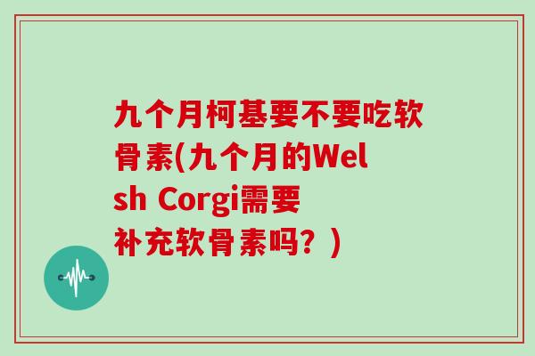 九个月柯基要不要吃软骨素(九个月的Welsh Corgi需要补充软骨素吗?) 九个月柯基要不要吃软骨素(九个月的Welsh Corgi需要补充软骨素吗?)