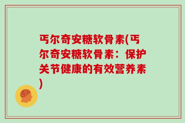 丐尔奇安糖软骨素(丐尔奇安糖软骨素：保护关节健康的有效营养素)