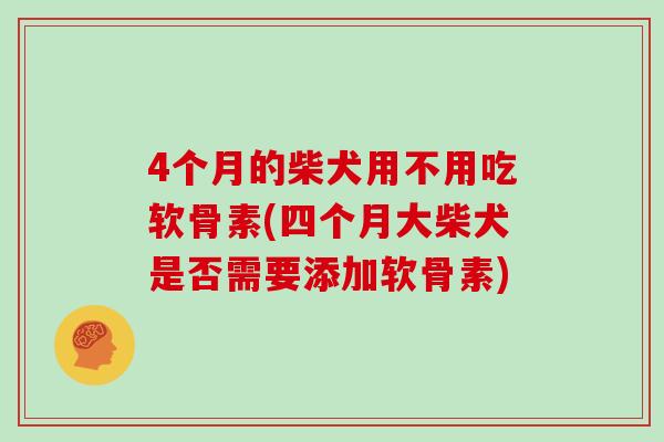 4个月的柴犬用不用吃软骨素(四个月大柴犬是否需要添加软骨素) 4个月的柴犬用不用吃软骨素(四个月大柴犬是否需要添加软骨素)