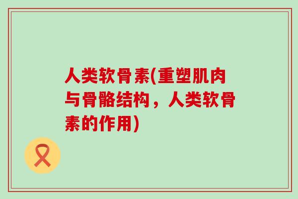 人类软骨素(重塑肌肉与骨骼结构，人类软骨素的作用)