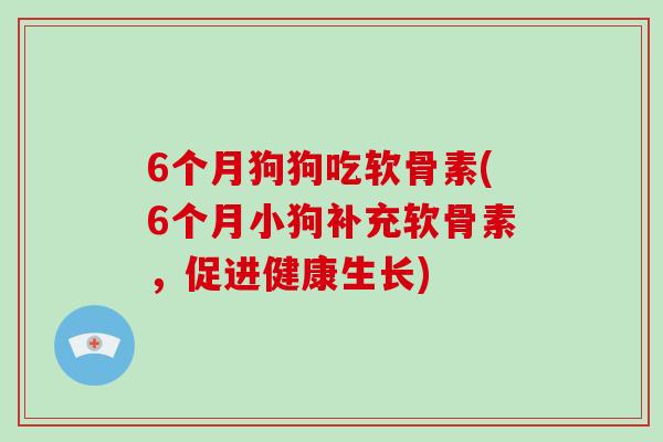 6个月狗狗吃软骨素(6个月小狗补充软骨素,促进健康生长) 6个月狗狗吃软骨素(6个月小狗补充软骨素,促进健康生长)