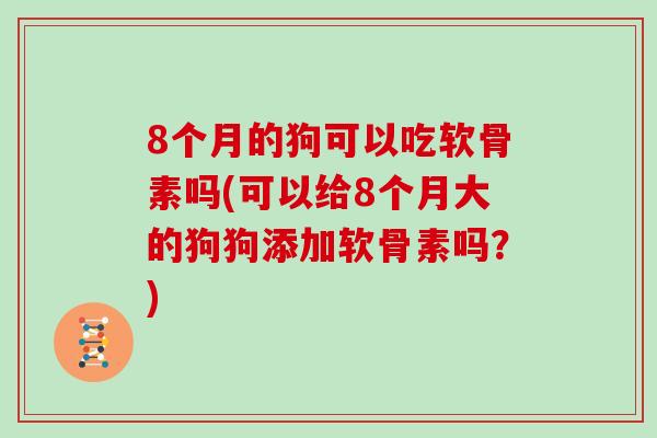 8个月的狗可以吃软骨素吗(可以给8个月大的狗狗添加软骨素吗?) 8个月的狗可以吃软骨素吗(可以给8个月大的狗狗添加软骨素吗?)