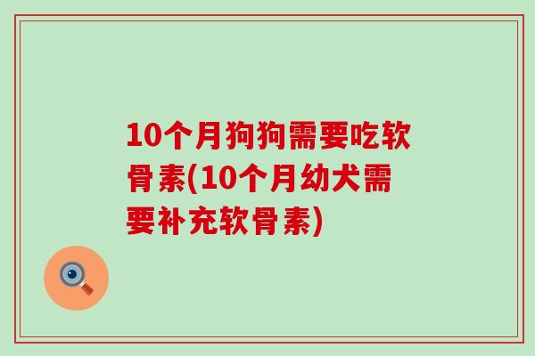 10个月狗狗需要吃软骨素(10个月幼犬需要补充软骨素)